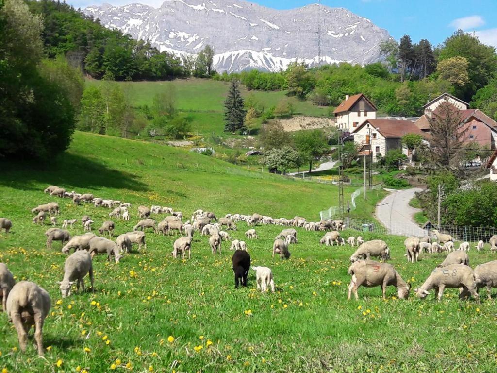 Les Clarines Perceneige - Chambre D'Hotes Vue Sur Montagne & Spa Saint-Jacques-en-Valgodemard 외부 사진